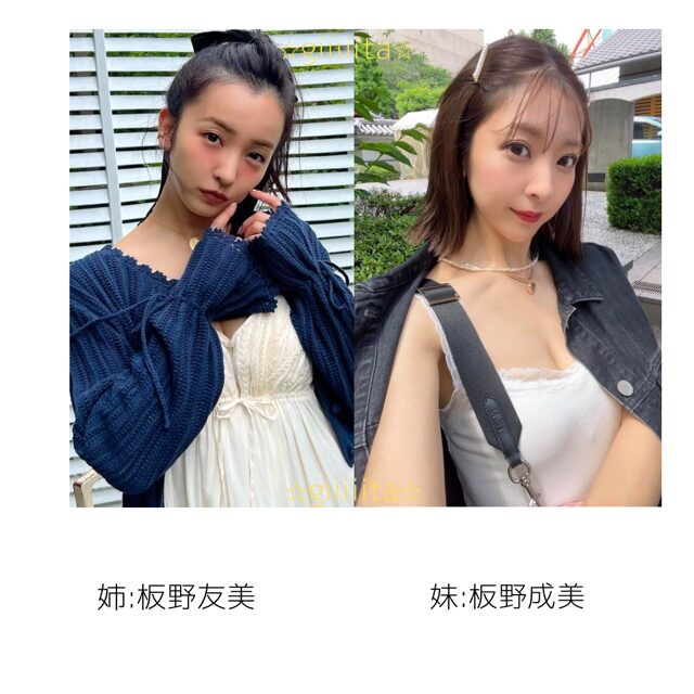 【比較画像】板野成美と姉の板野友美は似てない!?様々な写真で調査