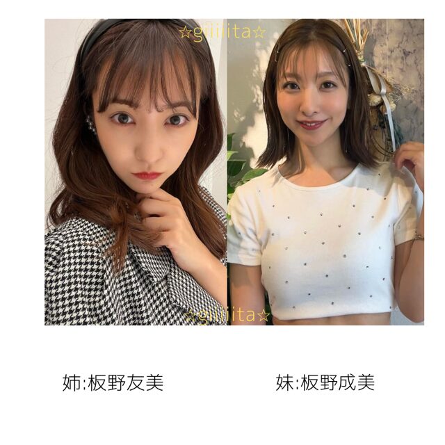 【比較画像】板野成美と姉の板野友美は似てない!?様々な写真で調査