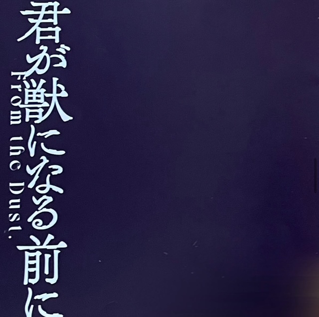 鳴海唯のwiki経歴出演作品まとめ|朝ドラ・大河女優として活躍！