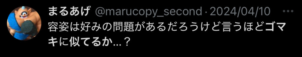 【比較画像】後藤真希と姪の芹澤もあは似ている?!そっくりと話題！