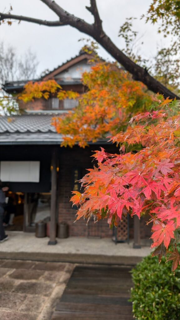 パクソジュンがアナザースカイで訪れた場所は何処？